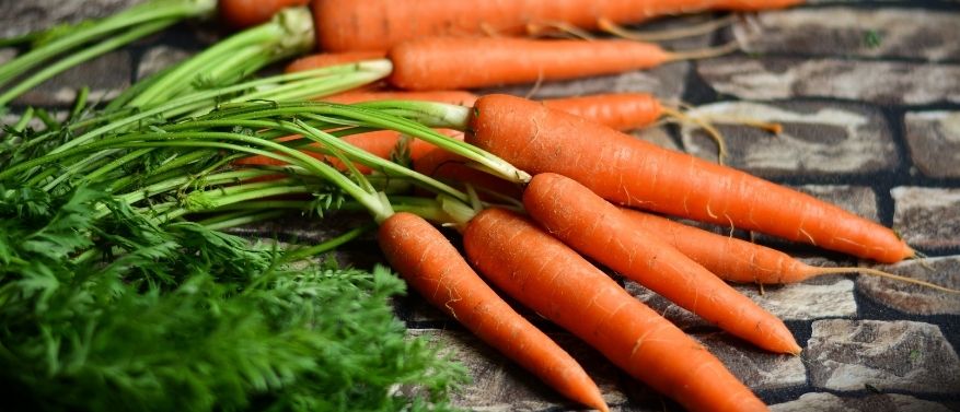 Vitamin A - Wirkung, Dosierung, Lebensmittel, Mangel