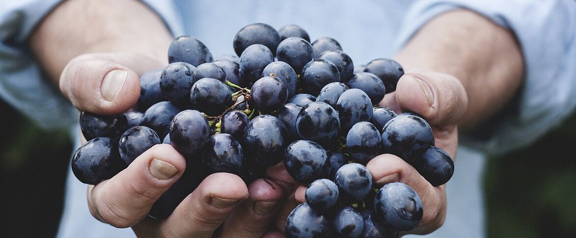 Antioxidantien kaufen - Schütze deine Zellen!